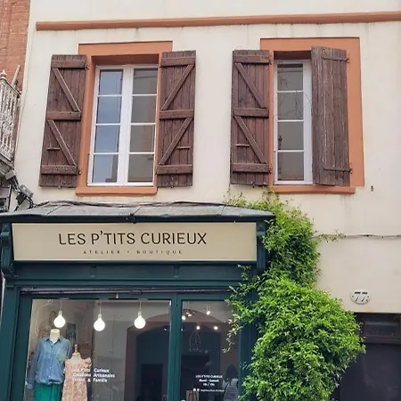 Le Nid De La Colombe - Hypercentre 아파트 툴루즈