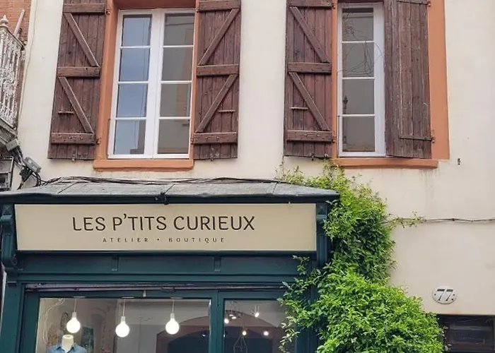 Le Nid De La Colombe - Hypercentre Apartmán Toulouse